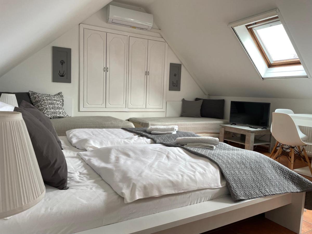 Szentesi Panzio Bed & Breakfast Fertorakos Ngoại thất bức ảnh